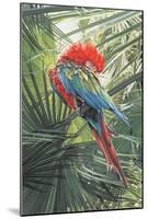 Scarlet Macaw, 1989-Sandra Lawrence-Mounted Giclee Print