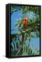 Scarlet Macaw 1-Michael Jackson-Framed Stretched Canvas