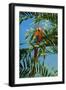Scarlet Macaw 1-Michael Jackson-Framed Giclee Print