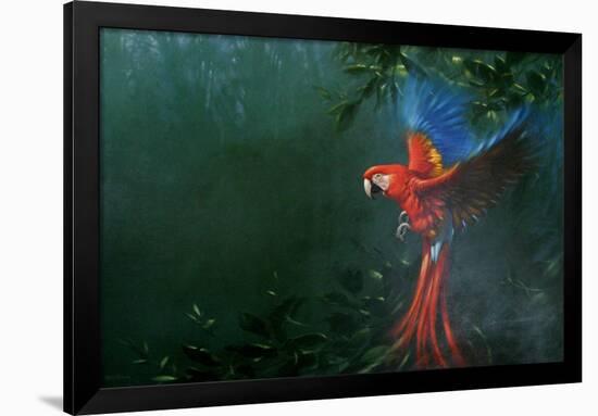 Scarlet Macaw 2-Michael Jackson-Framed Giclee Print