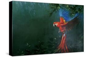 Scarlet Macaw 2-Michael Jackson-Stretched Canvas