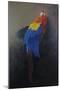 Scarlet macaw 3, 2014-Odile Kidd-Mounted Giclee Print