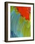 Scarlet Macaw (Ara Macao), Argentina-Andres Morya Hinojosa-Framed Photographic Print