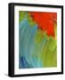 Scarlet Macaw (Ara Macao), Argentina-Andres Morya Hinojosa-Framed Photographic Print