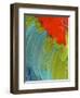 Scarlet Macaw (Ara Macao), Argentina-Andres Morya Hinojosa-Framed Premium Photographic Print