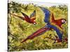 Scarlet Macaw (Ara Macao), Psittacidae-null-Stretched Canvas