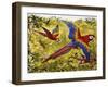 Scarlet Macaw (Ara Macao), Psittacidae-null-Framed Giclee Print