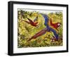 Scarlet Macaw (Ara Macao), Psittacidae-null-Framed Giclee Print