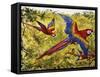 Scarlet Macaw (Ara Macao), Psittacidae-null-Framed Stretched Canvas