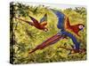 Scarlet Macaw (Ara Macao), Psittacidae-null-Stretched Canvas
