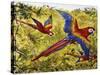 Scarlet Macaw (Ara Macao), Psittacidae-null-Stretched Canvas