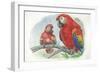 Scarlet Macaw Ara Macao with Chick-null-Framed Giclee Print