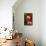 Scarlet Macaw (Ara Macao)-Lynn M^ Stone-Framed Stretched Canvas displayed on a wall