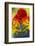 Scarlet Macaw, Costa Rica-null-Framed Photographic Print