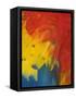 Scarlet Macaw Feathers-Bob Krist-Framed Stretched Canvas