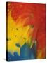 Scarlet Macaw Feathers-Bob Krist-Stretched Canvas