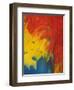 Scarlet Macaw Feathers-Bob Krist-Framed Photographic Print