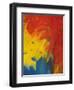 Scarlet Macaw Feathers-Bob Krist-Framed Photographic Print