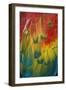 Scarlet Macaw Feathers-Adrian Warren-Framed Photographic Print