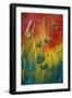 Scarlet Macaw Feathers-Adrian Warren-Framed Photographic Print