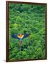 Scarlet Macaw Flying over Rainforest-Jim Zuckerman-Framed Photographic Print