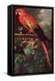 Scarlet Macaw in a Landscape-Jakob Bogdani Or Bogdany-Framed Stretched Canvas