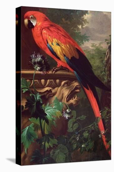 Scarlet Macaw in a Landscape-Jakob Bogdani Or Bogdany-Stretched Canvas