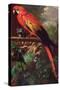 Scarlet Macaw in a Landscape-Jakob Bogdani Or Bogdany-Stretched Canvas