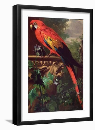 Scarlet Macaw in a Landscape-Jakob Bogdani Or Bogdany-Framed Giclee Print