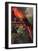 Scarlet Macaw in a Landscape-Jakob Bogdani Or Bogdany-Framed Giclee Print