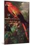 Scarlet Macaw in a Landscape-Jakob Bogdani Or Bogdany-Mounted Giclee Print