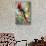 Scarlet Macaw on a Branch-Howard Ruby-Stretched Canvas displayed on a wall