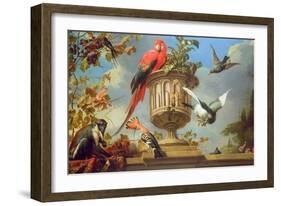 Scarlet Macaw Perched on an Urn, with Other Birds and a Monkey Eating Grapes-Melchior de Hondecoeter-Framed Giclee Print