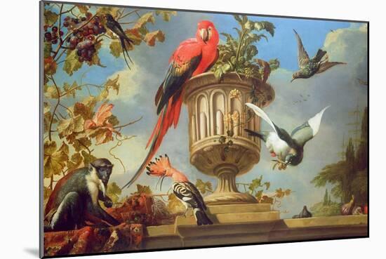 Scarlet Macaw Perched on an Urn, with Other Birds and a Monkey Eating Grapes-Melchior de Hondecoeter-Mounted Giclee Print
