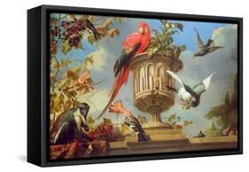 Scarlet Macaw Perched on an Urn, with Other Birds and a Monkey Eating Grapes-Melchior de Hondecoeter-Framed Stretched Canvas