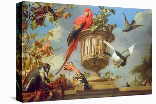 Scarlet Macaw Perched on an Urn, with Other Birds and a Monkey Eating Grapes-Melchior de Hondecoeter-Stretched Canvas