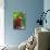 Scarlet Macaw-null-Stretched Canvas displayed on a wall