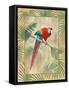 Scarlet Macaw-Ron Jenkins-Framed Stretched Canvas