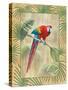 Scarlet Macaw-Ron Jenkins-Stretched Canvas