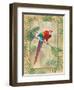 Scarlet Macaw-Ron Jenkins-Framed Art Print