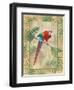 Scarlet Macaw-Ron Jenkins-Framed Art Print