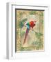 Scarlet Macaw-Ron Jenkins-Framed Art Print