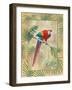 Scarlet Macaw-Ron Jenkins-Framed Art Print