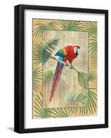 Scarlet Macaw-Ron Jenkins-Framed Art Print