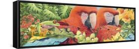 Scarlet Macaws-Durwood Coffey-Framed Stretched Canvas