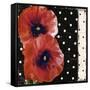 Scarlet Poppies II-Color Bakery-Framed Stretched Canvas