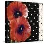 Scarlet Poppies II-Color Bakery-Stretched Canvas