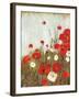 Scarlet Poppies-Asia Jensen-Framed Art Print