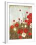 Scarlet Poppies-Asia Jensen-Framed Art Print