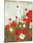 Scarlet Poppies-Asia Jensen-Mounted Art Print